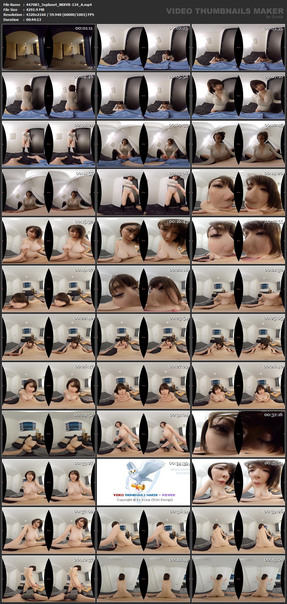 NKKVR-134 screens previewer