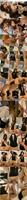 480134_3xplanet_CNAV_chn25053109_s