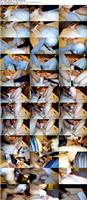 FC2_PPV_4676297_s