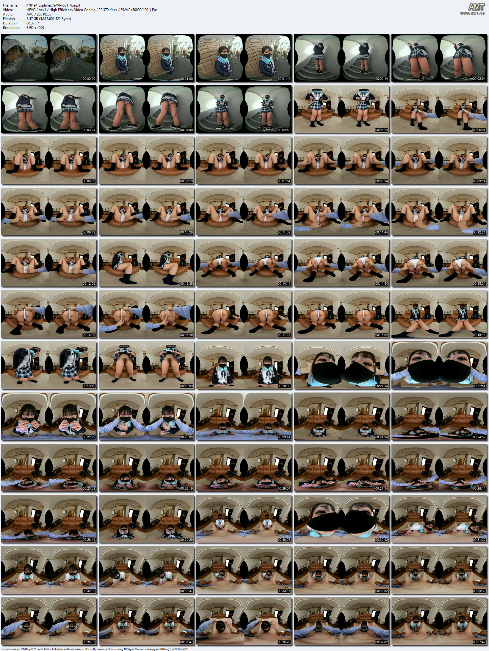 SAVR-651 screens previewer