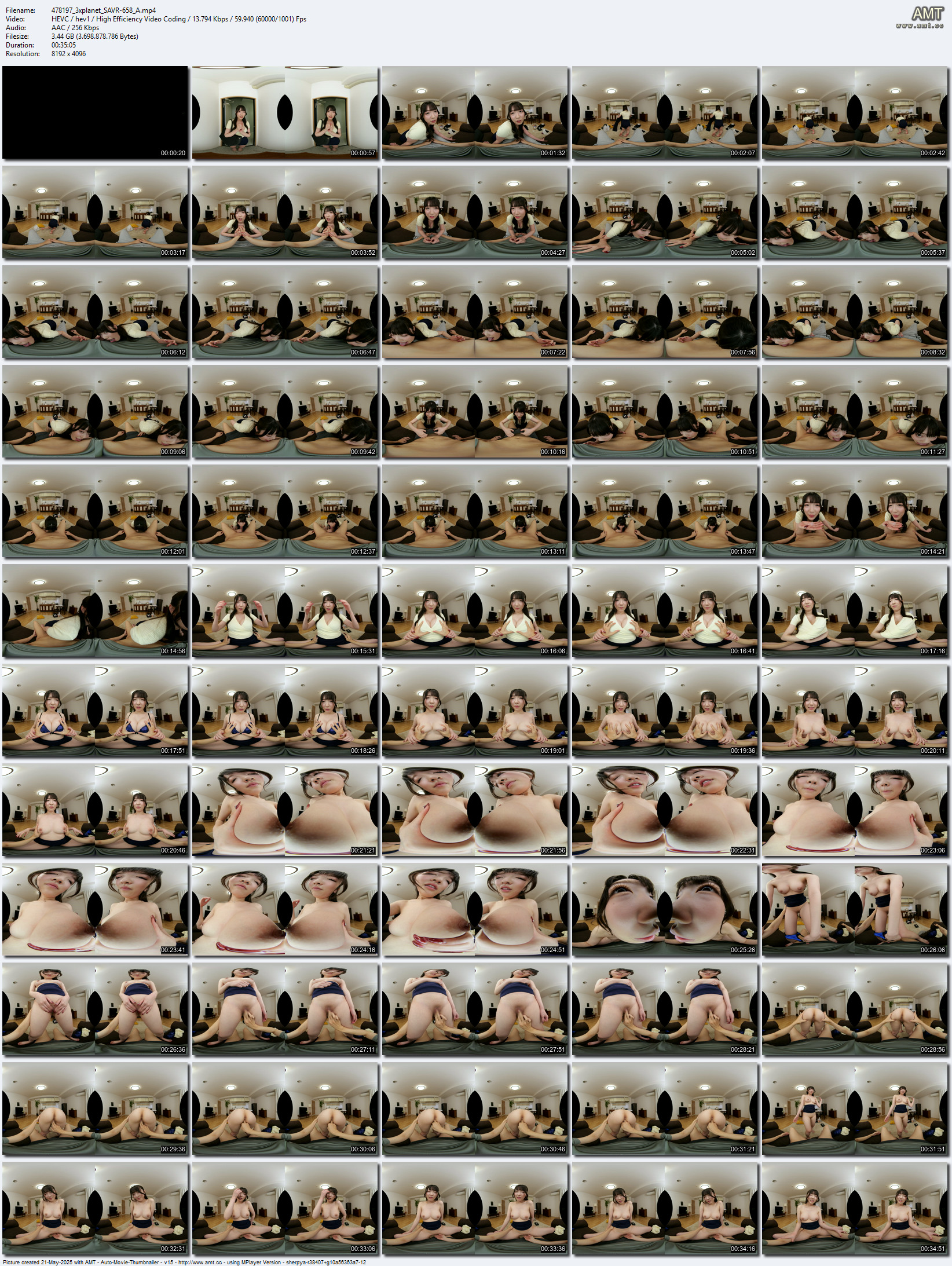 SAVR-658 screens previewer