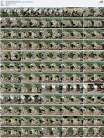 478131_3xplanet_CovertJapan_-_Misa_s