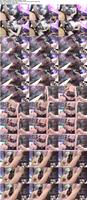 PPV-2280619_s