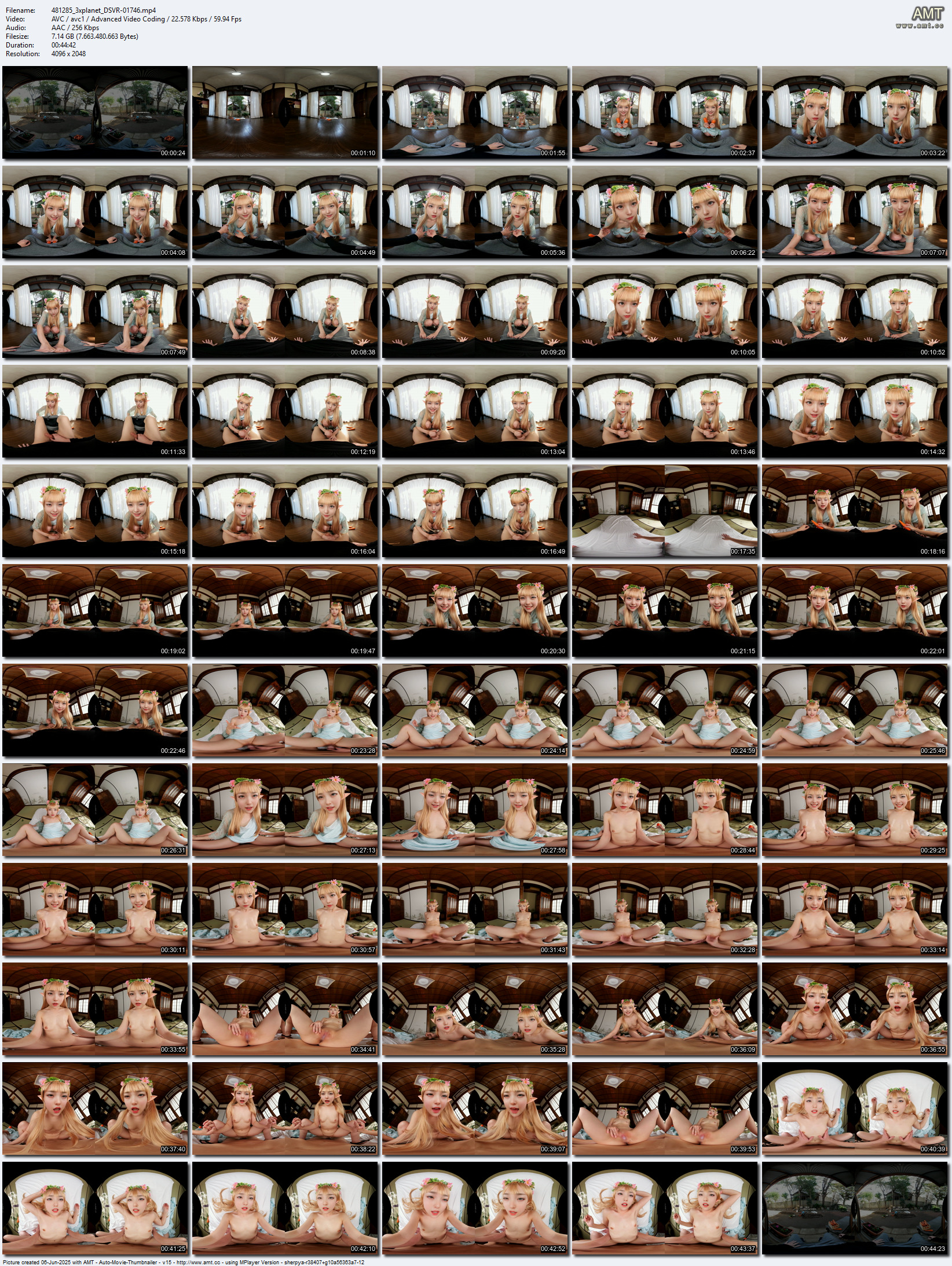 DSVR-01746