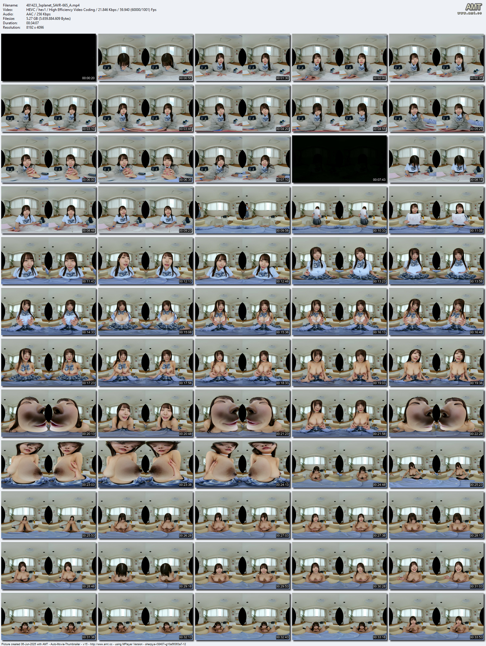 SAVR-665 screens previewer