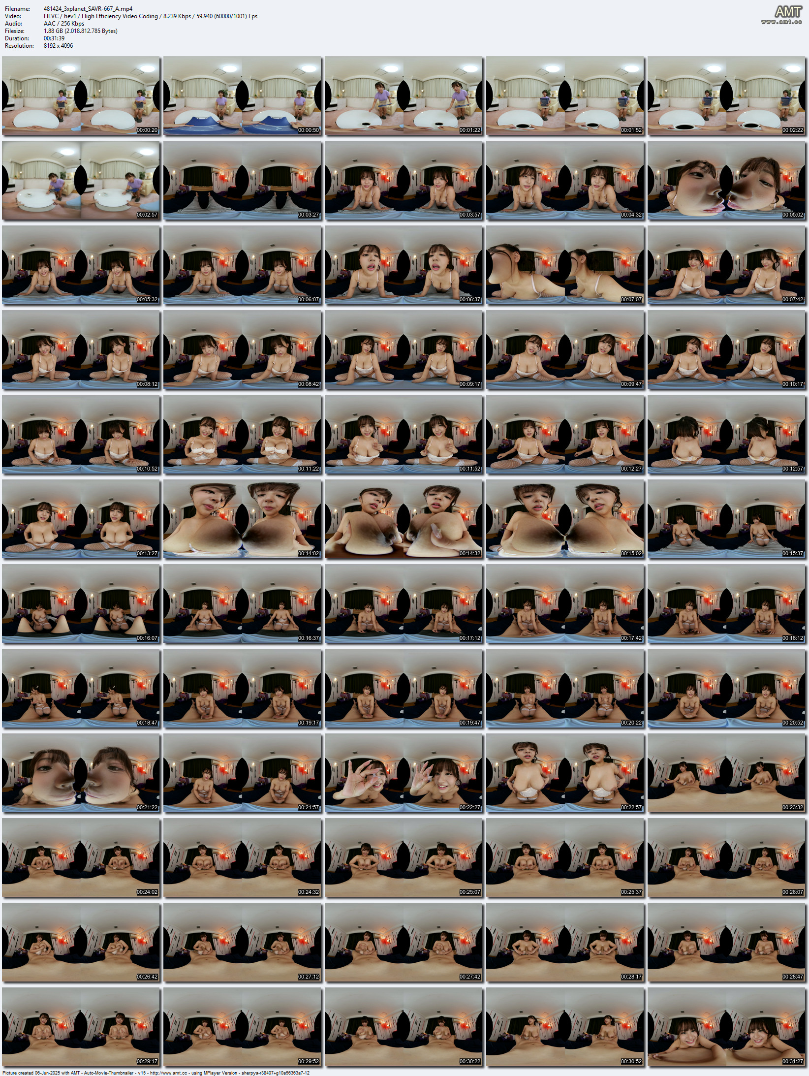 SAVR-667 screens previewer
