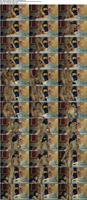 481262_3xplanet_CNAV_chn25060606_s