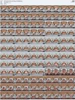483906_3xplanet_Virtual_Taboo_-_Rebel_Rhyder_-_Box_of_Ba20250618_s