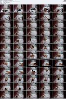 485104_3xplanet_CNAV_chn25062408_s
