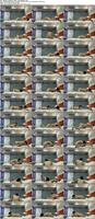 485310_3xplanet_CNAV_chn25062602_s
