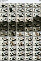 490305_3xplanet_CNAV_chn25072004_s