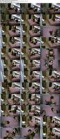 490743_3xplanet_CNAV_chn25072204_s