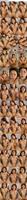 493629_3xplanet_CNAV_chn25080708_s