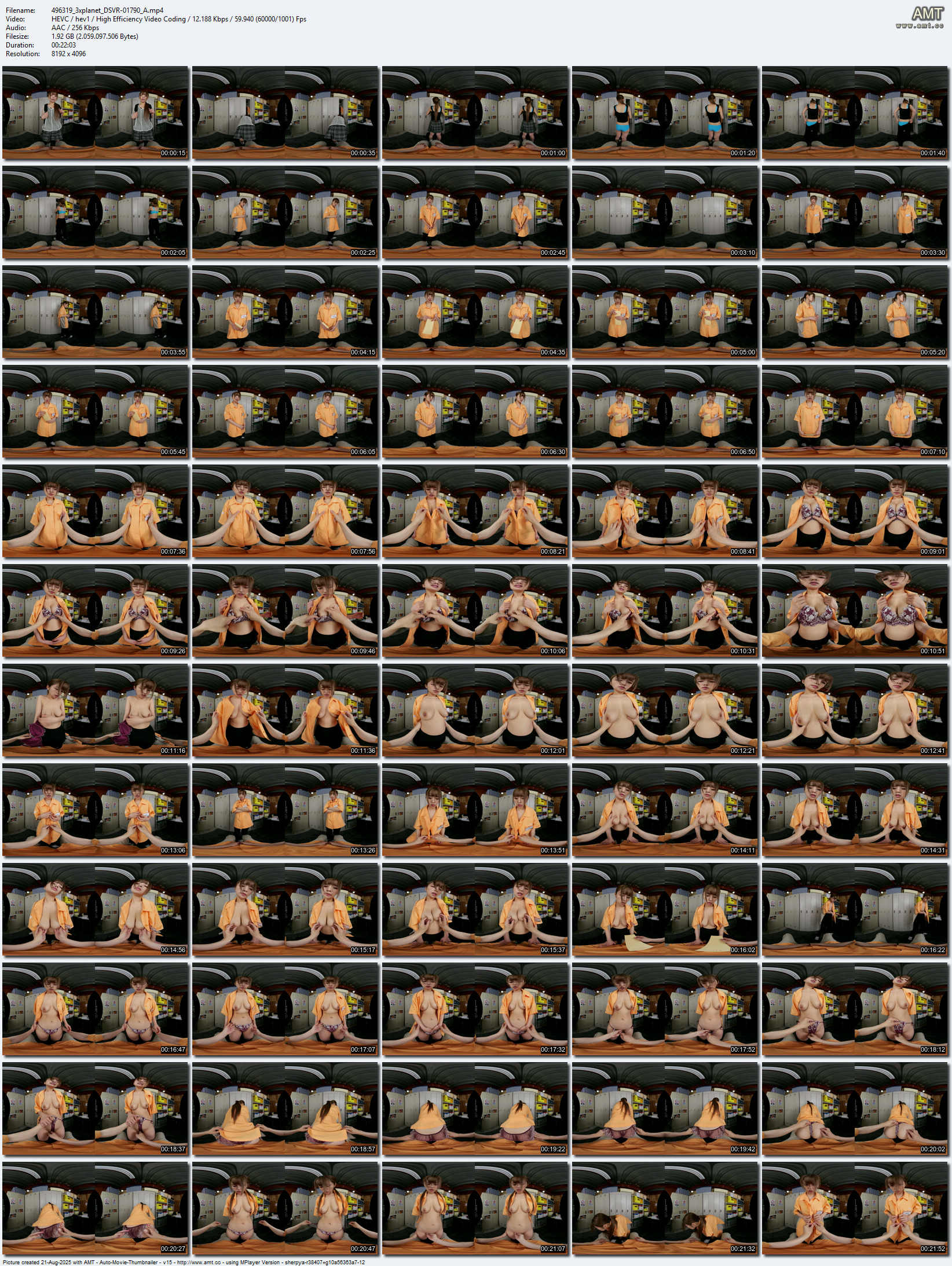 DSVR-01790 screens previewer