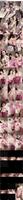 496811_3xplanet_CNAV_chn25082305_s