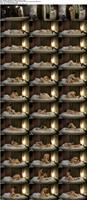 FC2-PPV-4751211_s