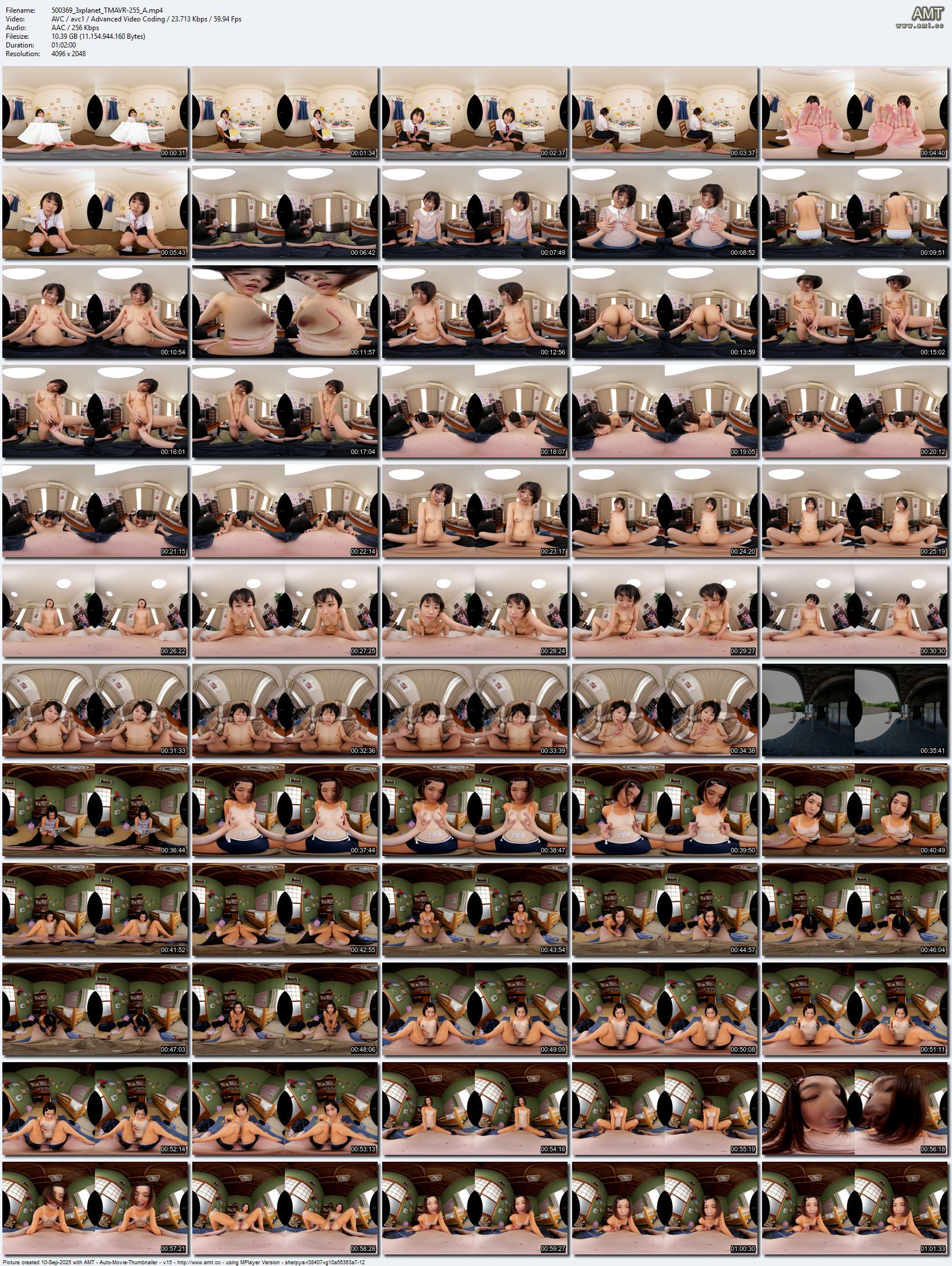 TMAVR-255 screens previewer