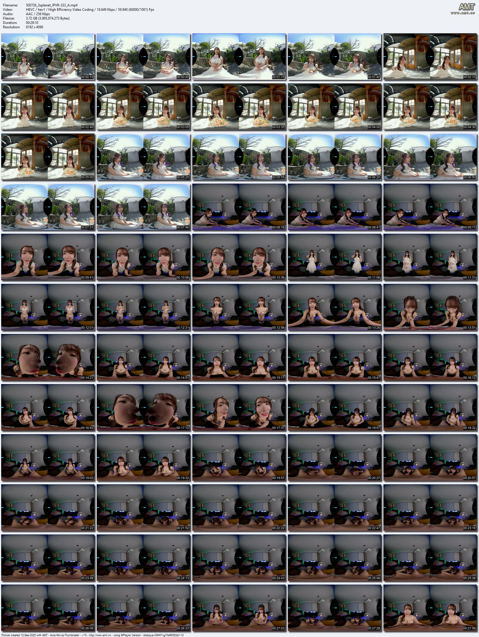 IPVR-333_A