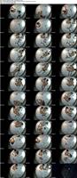 501523_3xplanet_CNAV_chn25091611_s