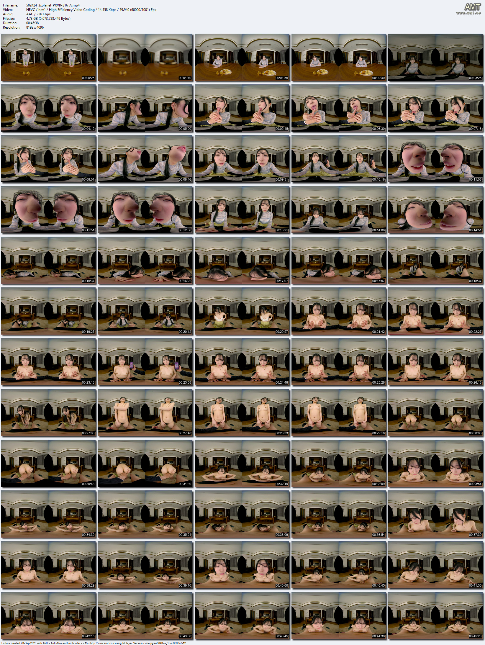 PXVR-316_A