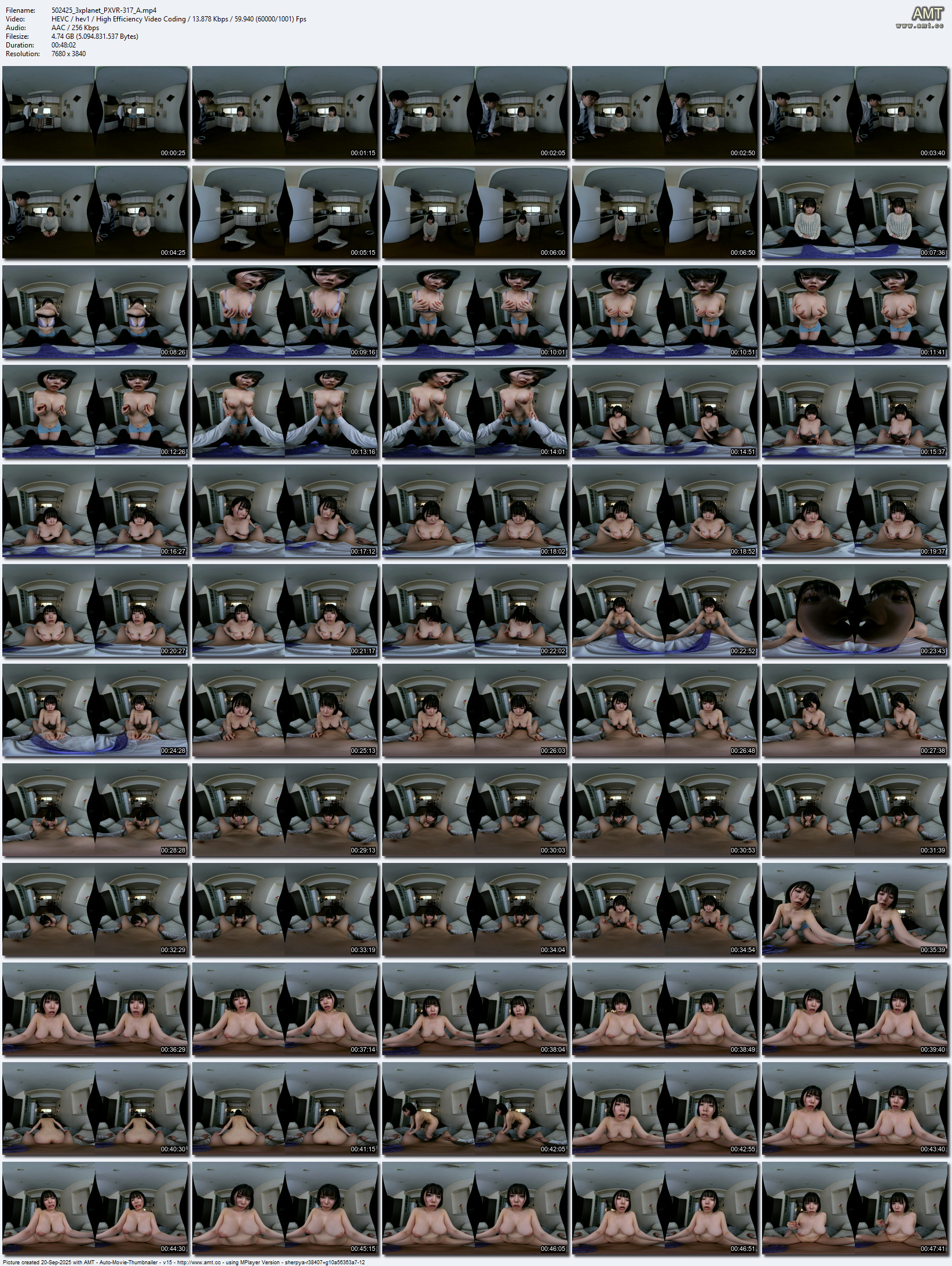 PXVR-317_A