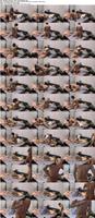 502299_3xplanet_CNAV_chn25092008_s