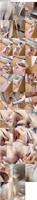 504520_3xplanet_CNAV_chn25100205_s