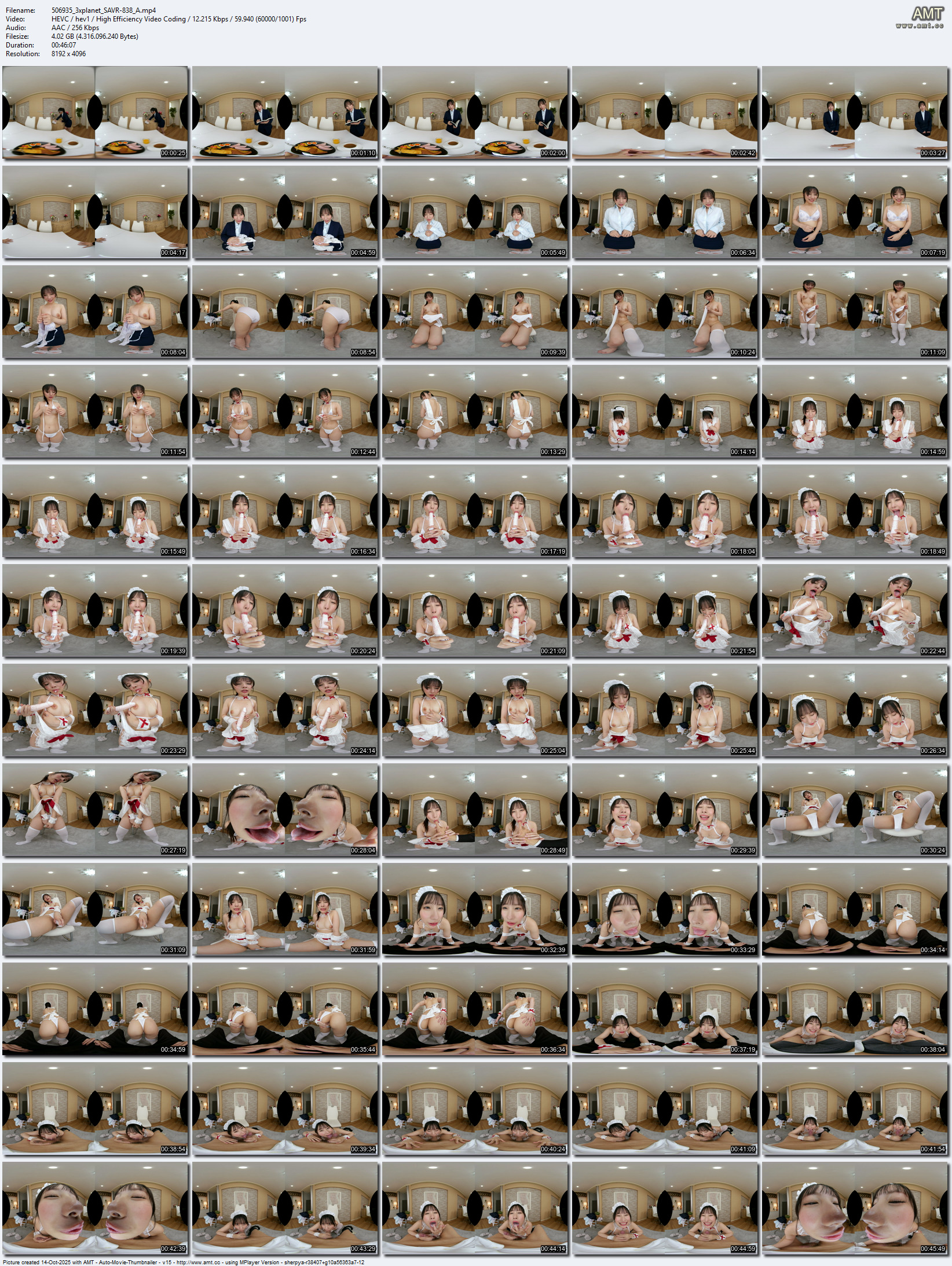 SAVR-838 screens previewer