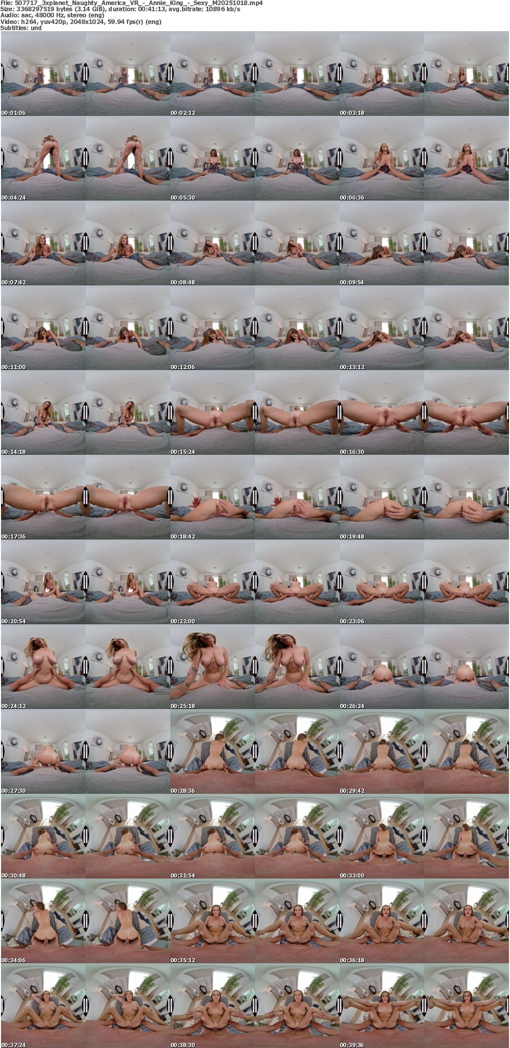 Naughty_America_VR_-_Annie_King_-_Sexy_M20251018 screens previewer