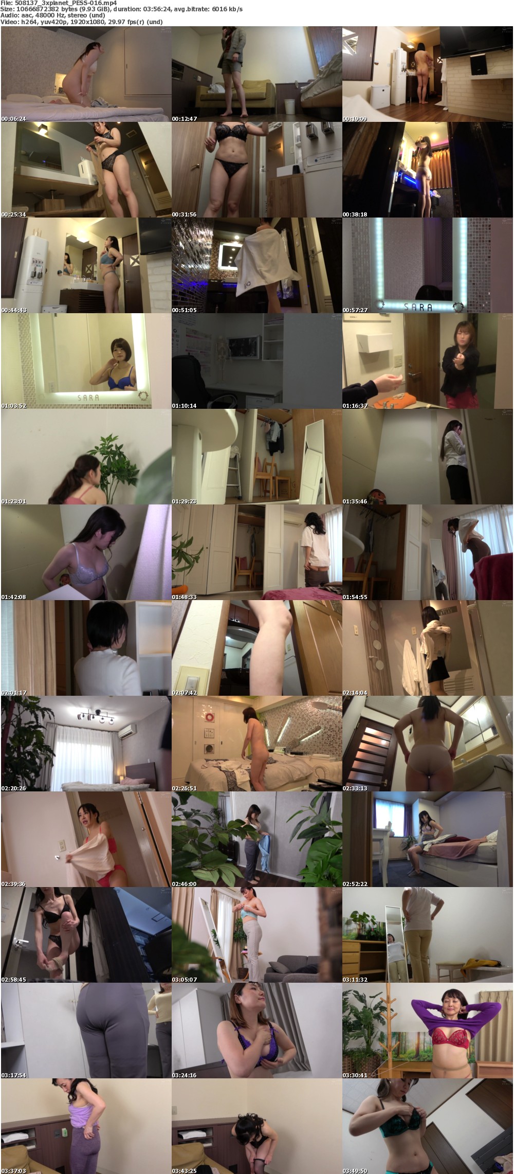 PESS-016_s
