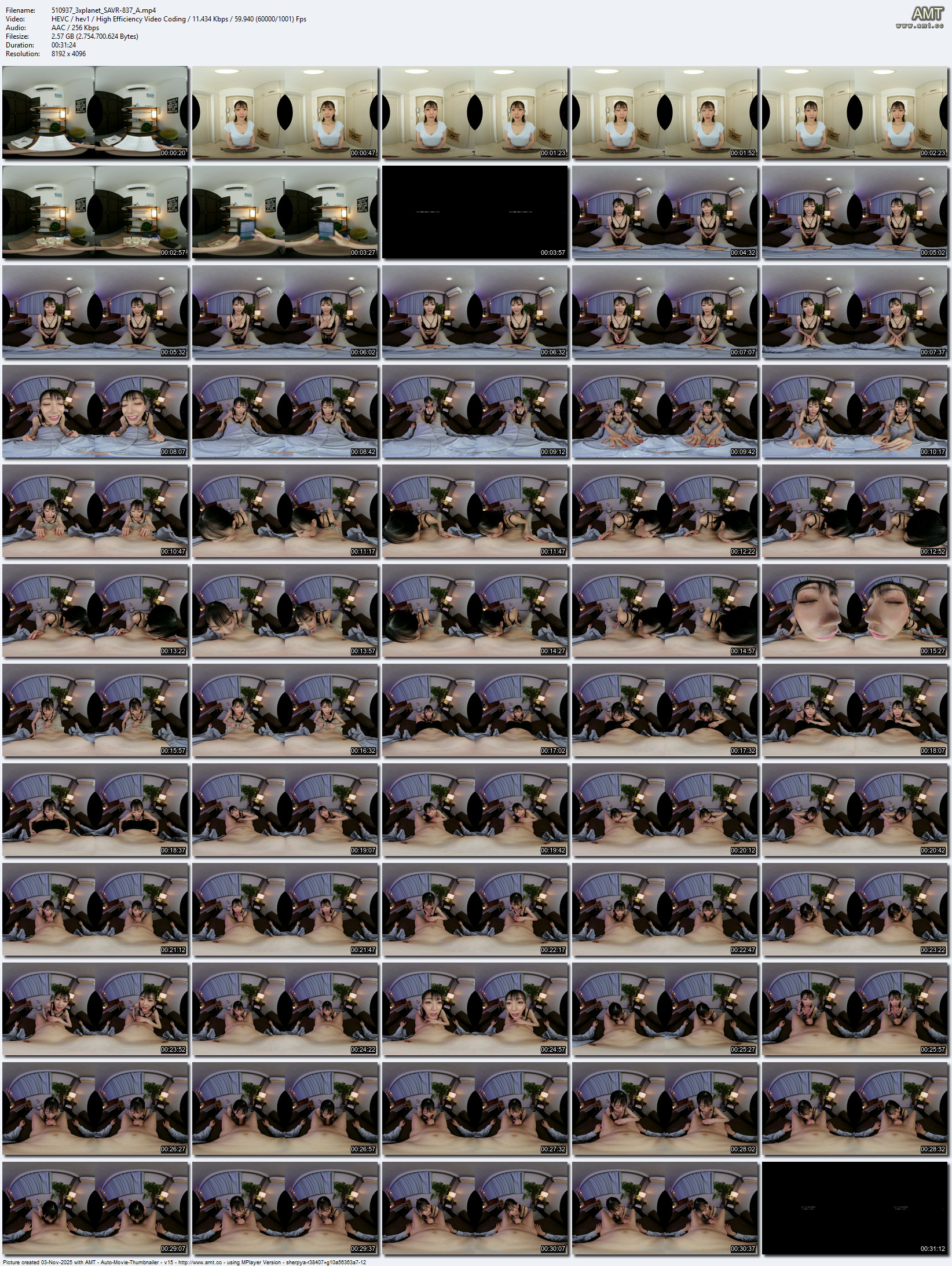 SAVR-837 screens previewer