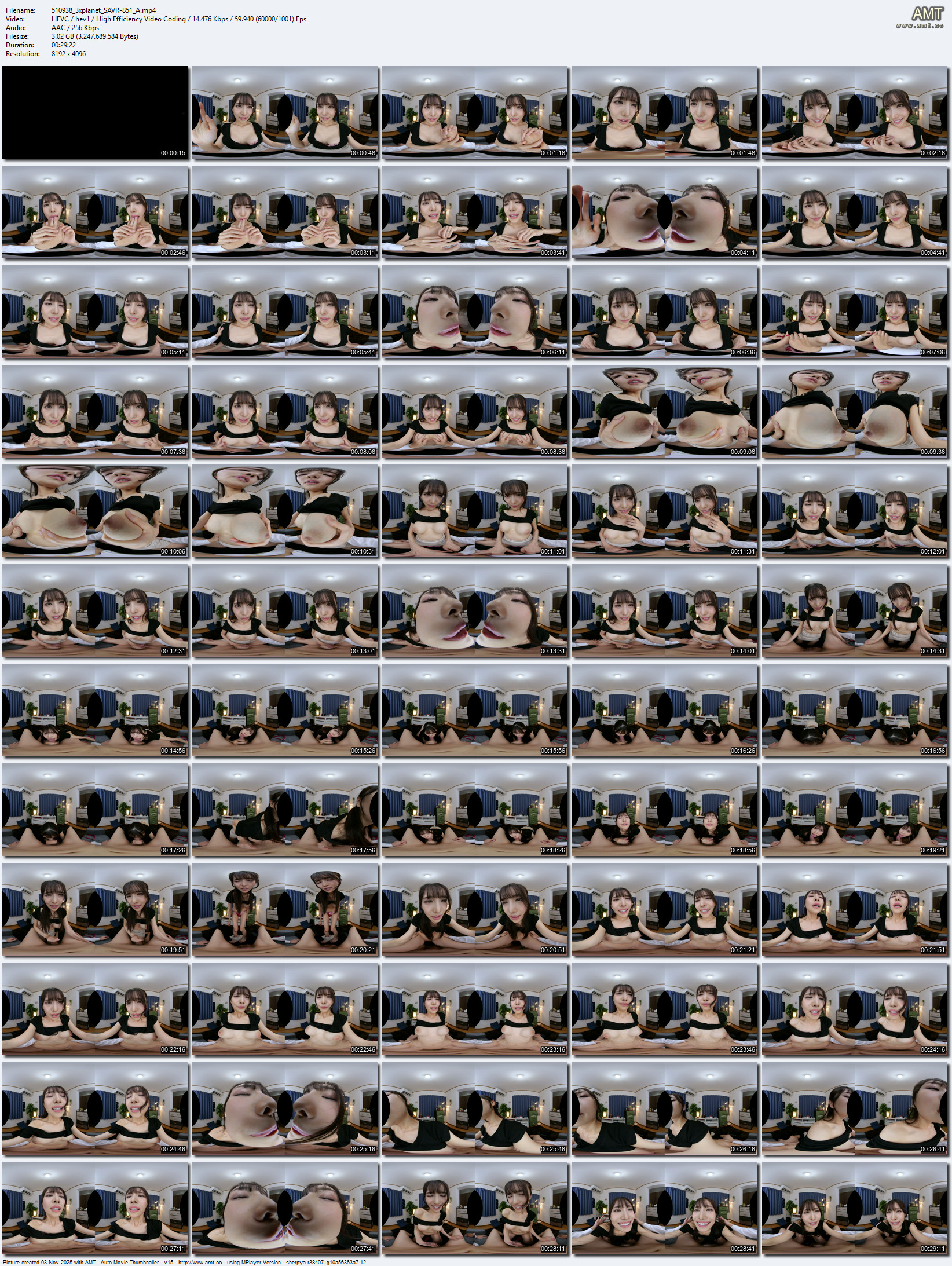 SAVR-851 screens previewer