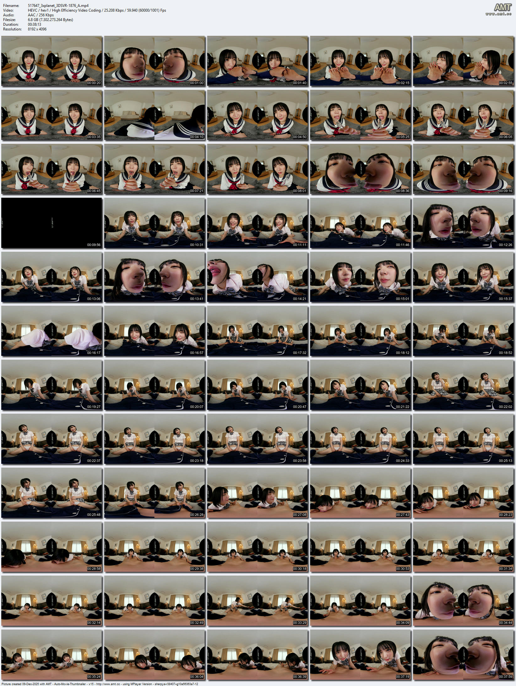 3DSVR-1876 screens previewer