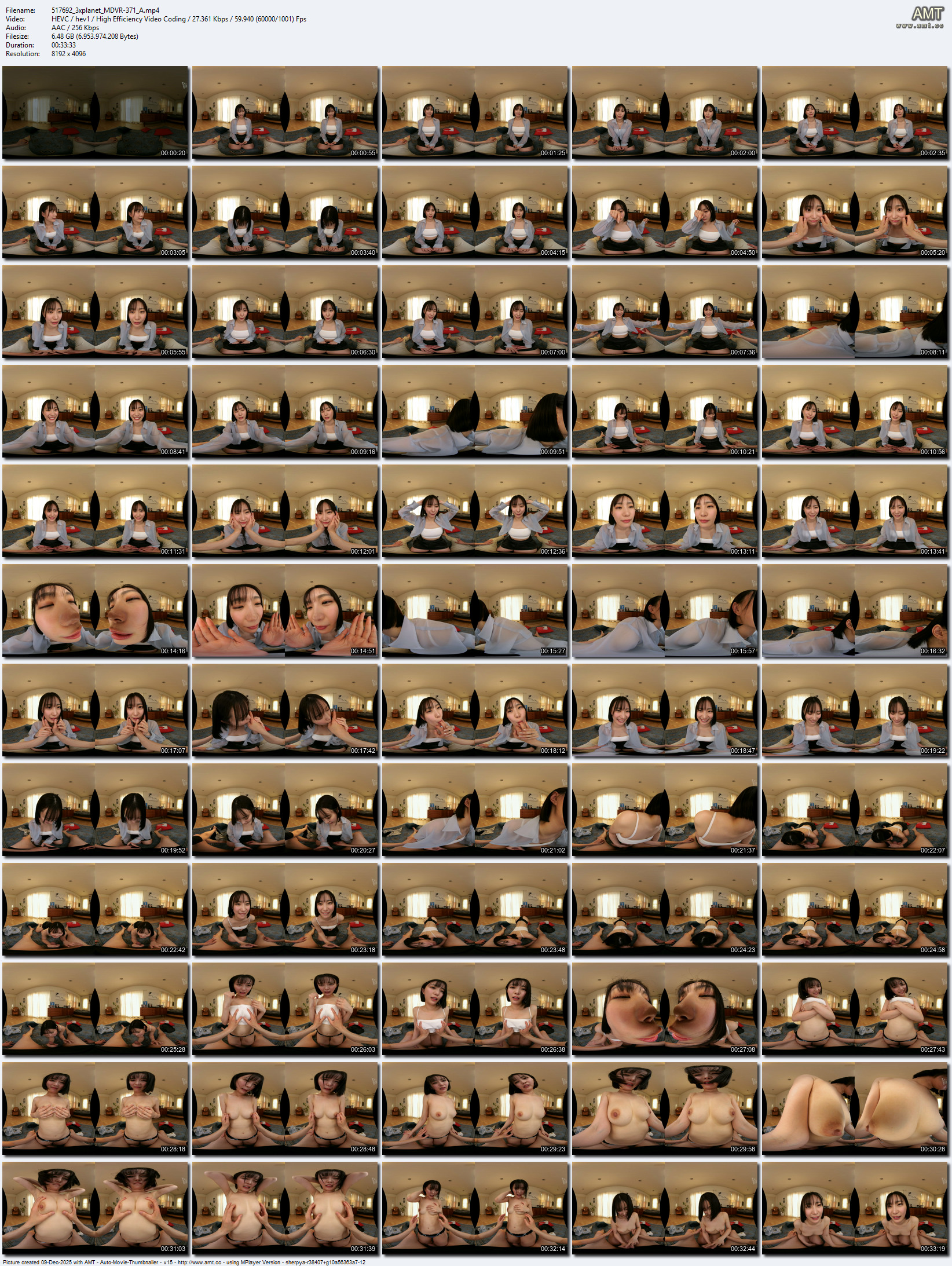 MDVR-371 screens previewer