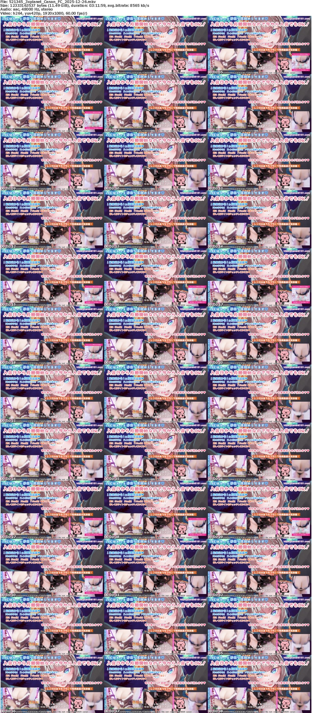 Canan_FC_2025-12-26 screens previewer