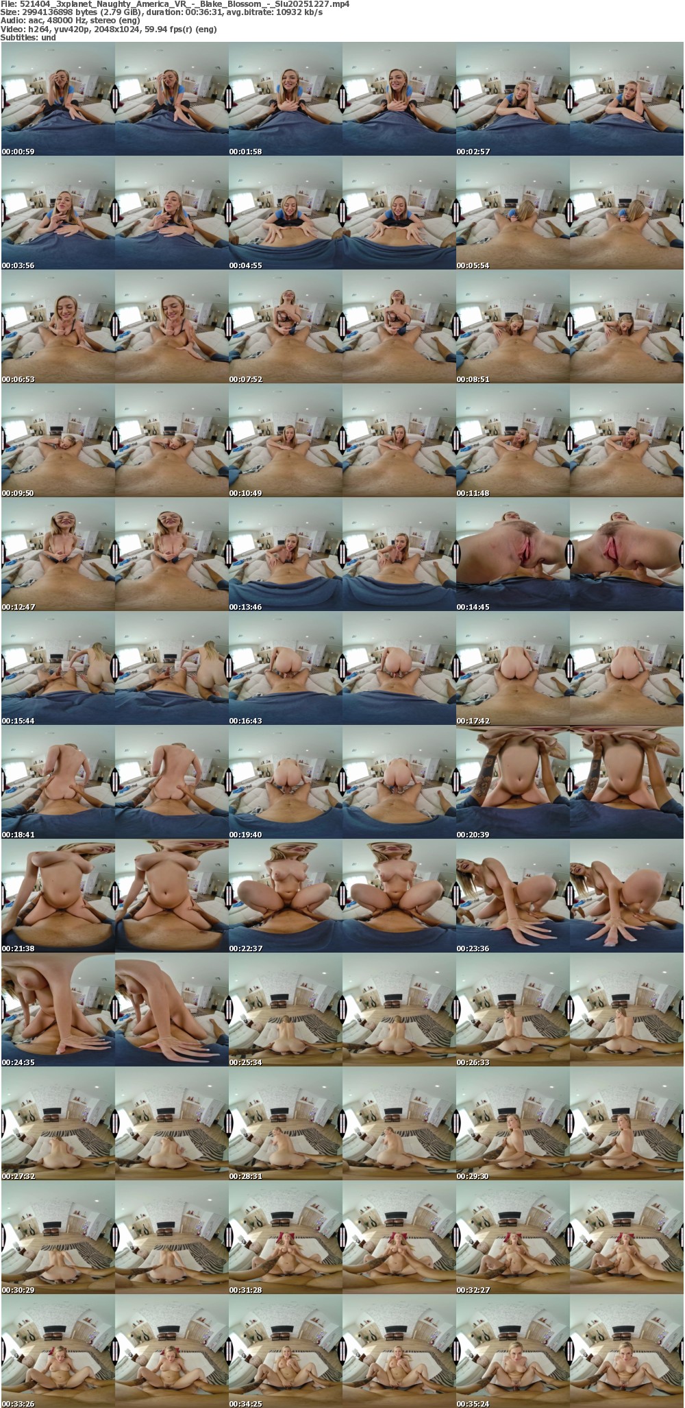 Naughty_America_VR_-_Blake_Blossom_-_Slu20251227 screens previewer