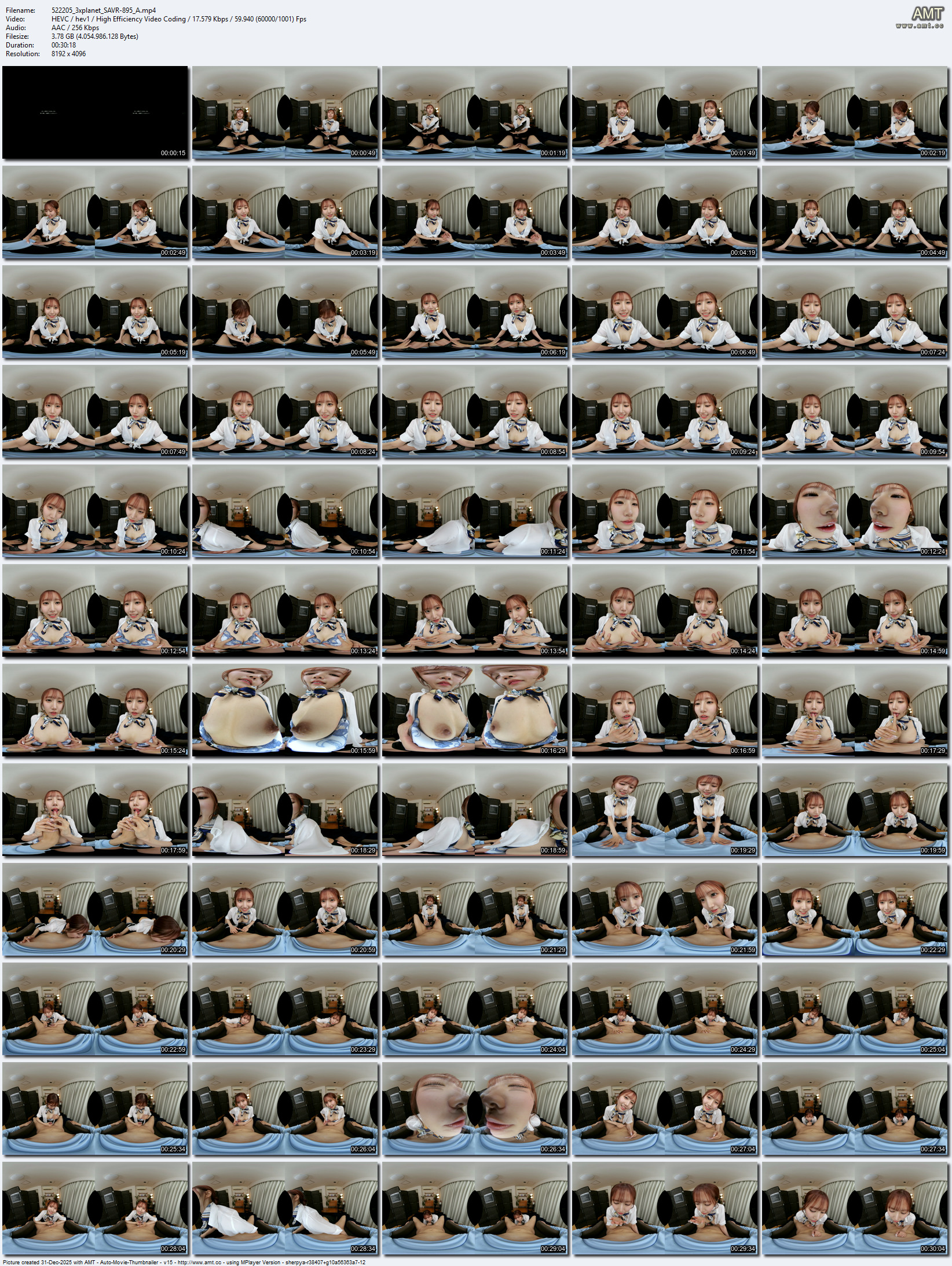 SAVR-895 screens previewer