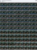 524464_3xplanet_Wankz_VR_-_Ali_Jones_-_Pitching_A_Tent20260110_s