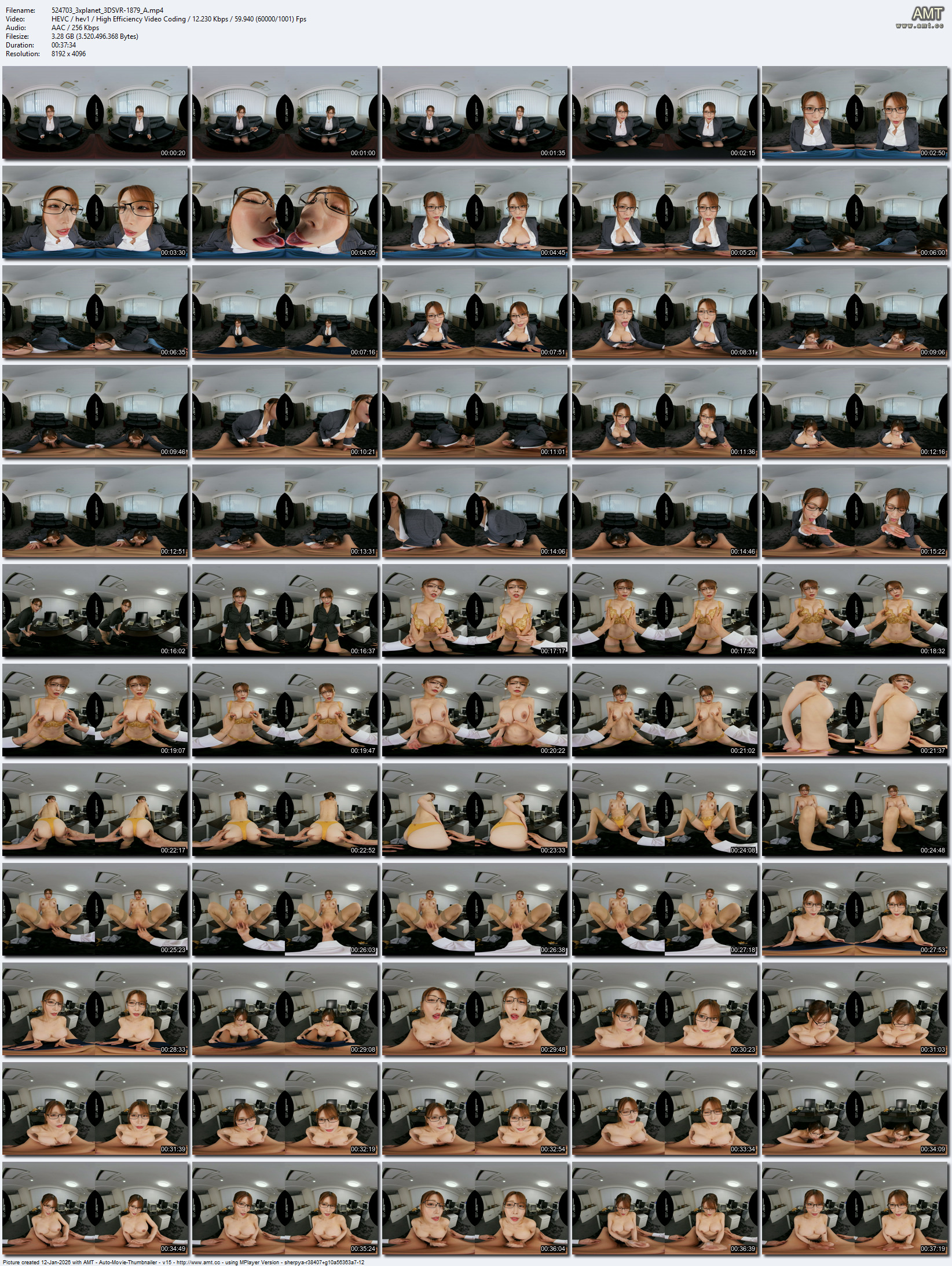 3DSVR-1879 screens previewer