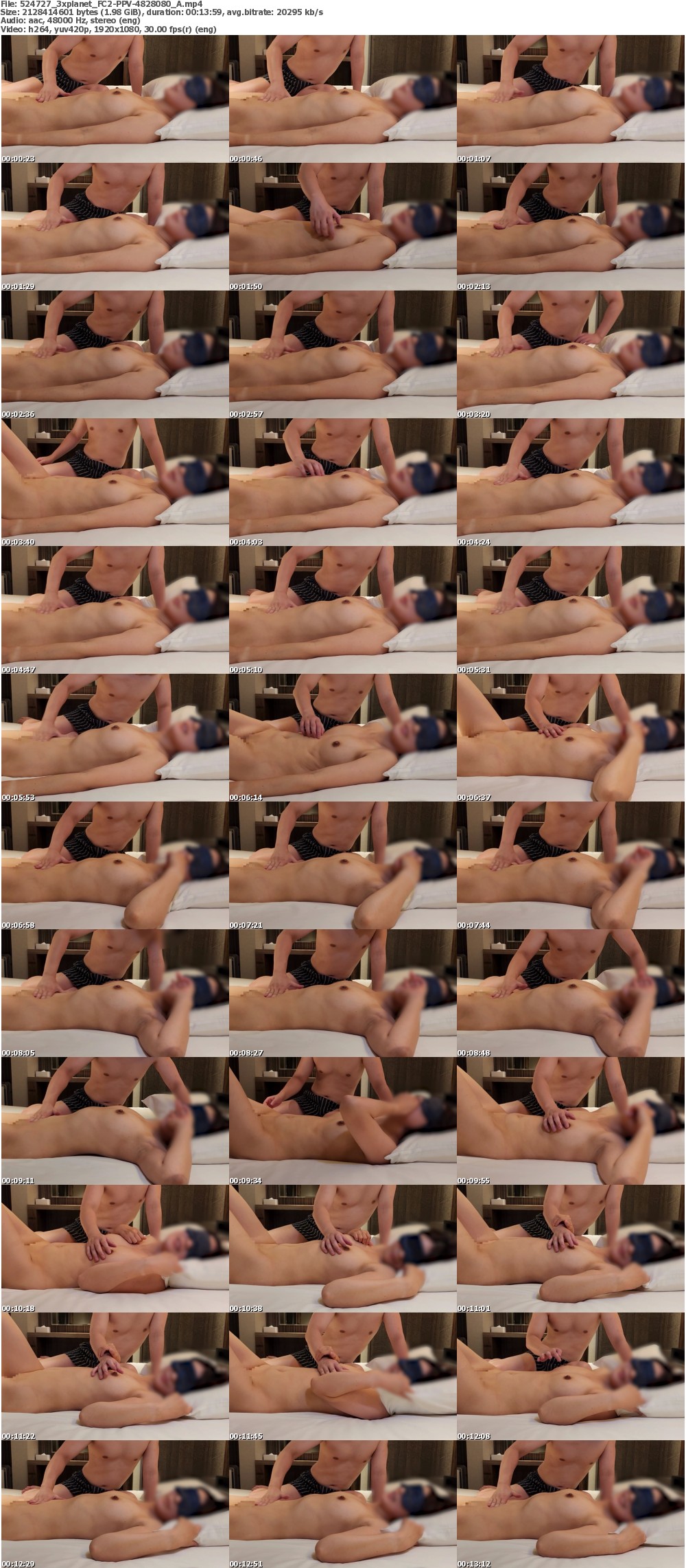 FC2-PPV-4828080 screens previewer