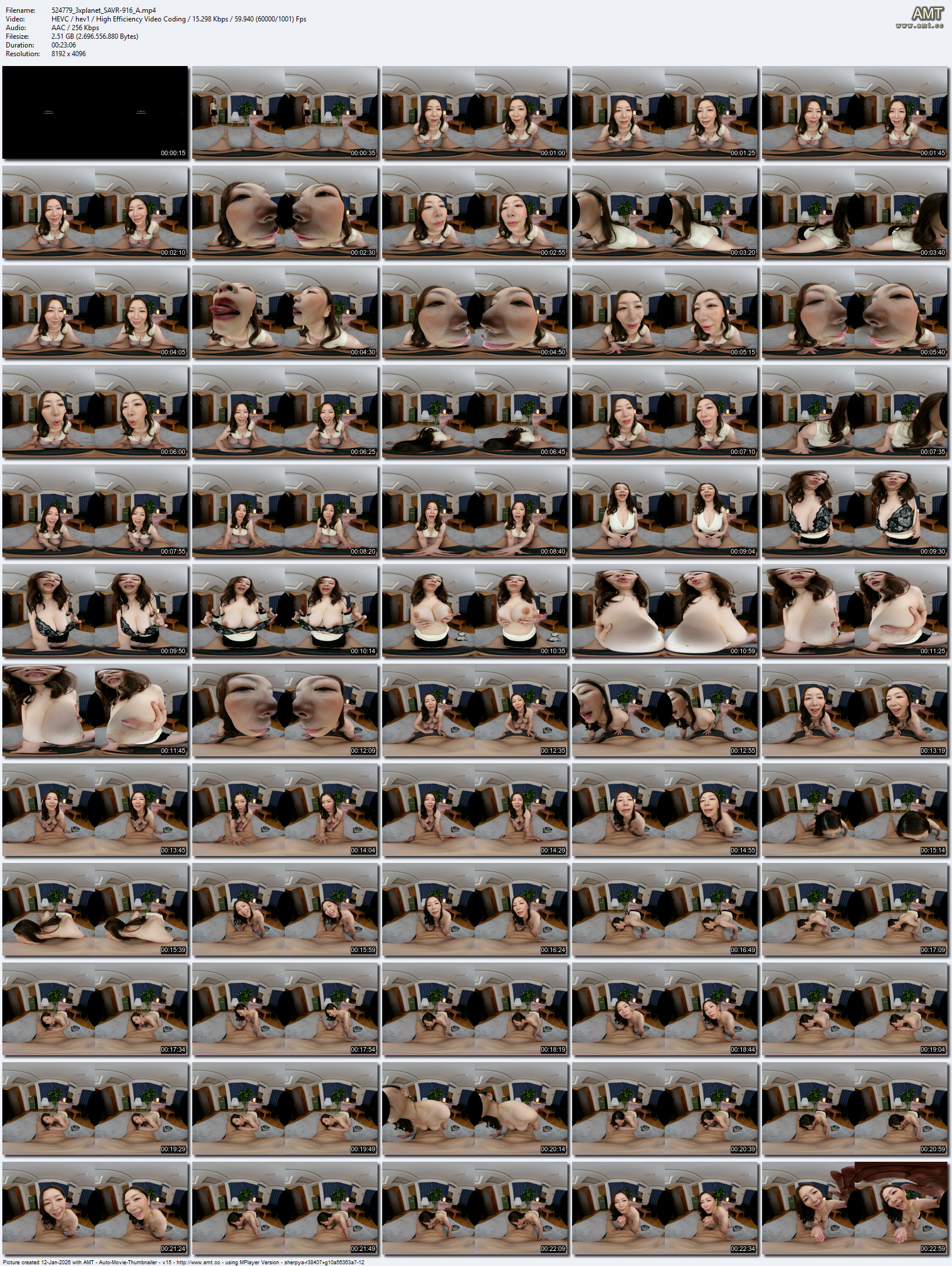 SAVR-916 screens previewer