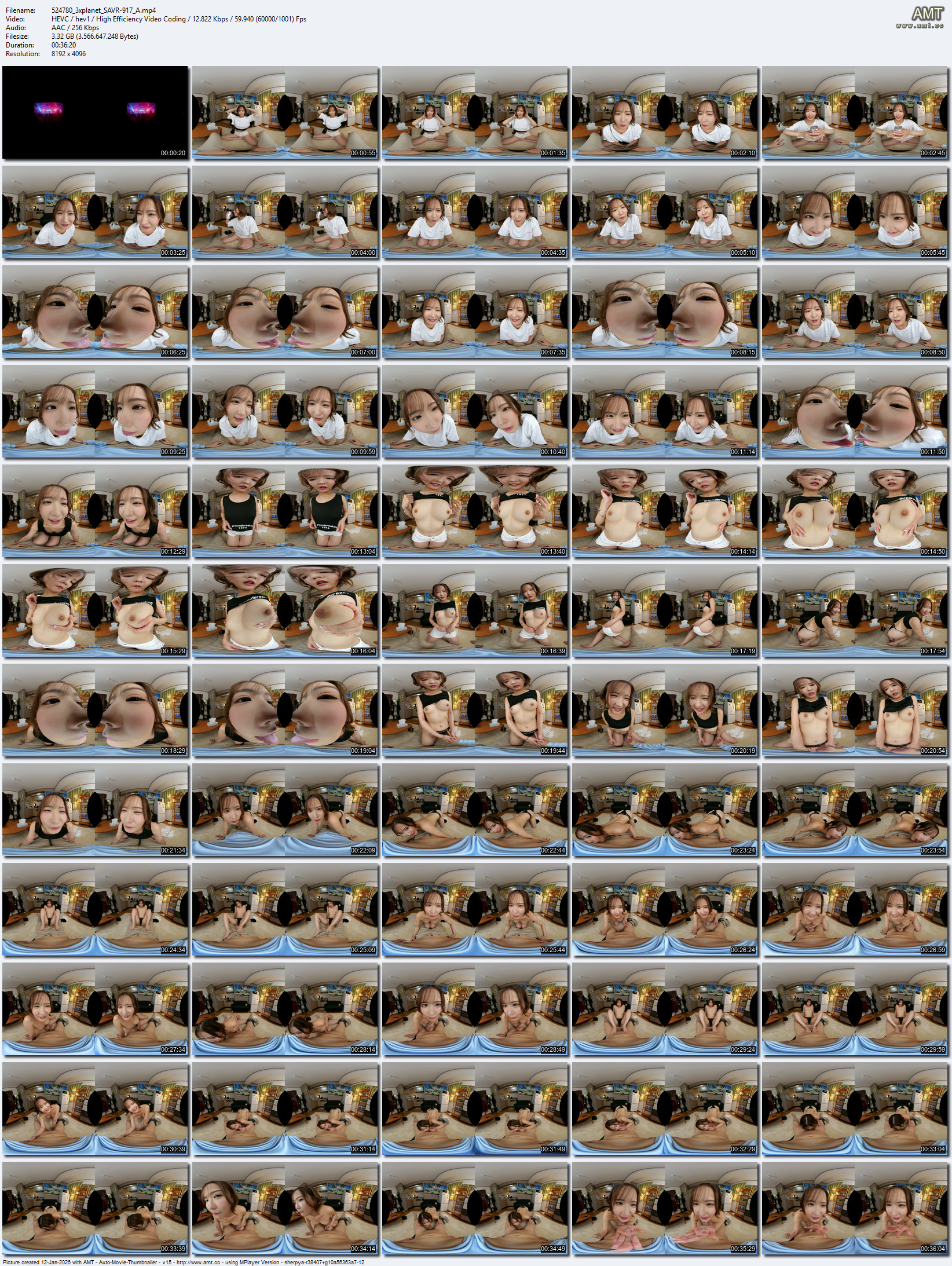 SAVR-917 screens previewer