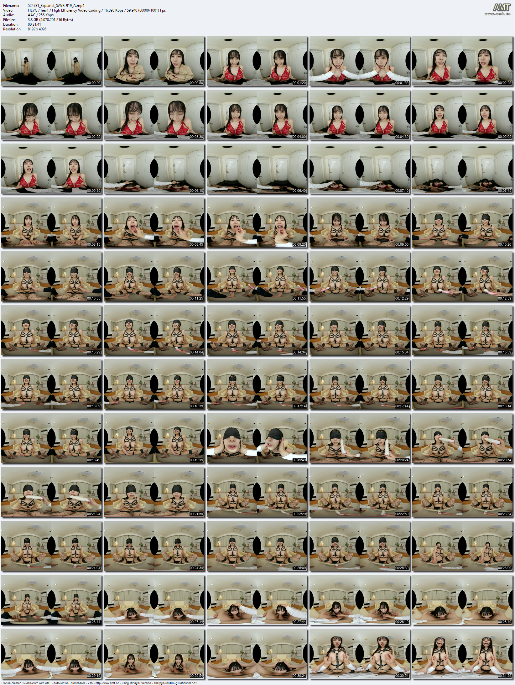 SAVR-919 screens previewer