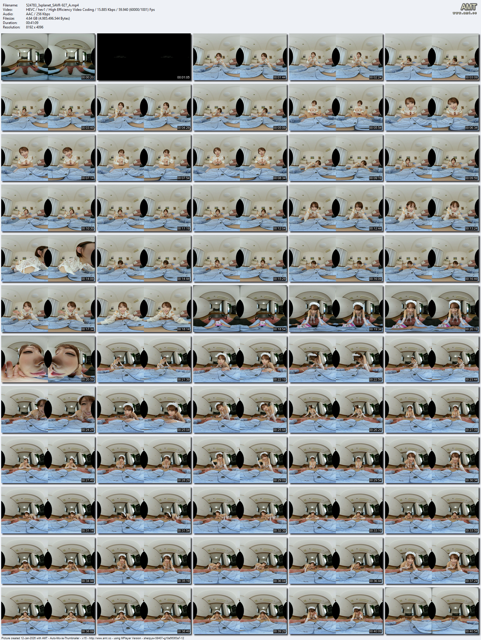 SAVR-927 screens previewer