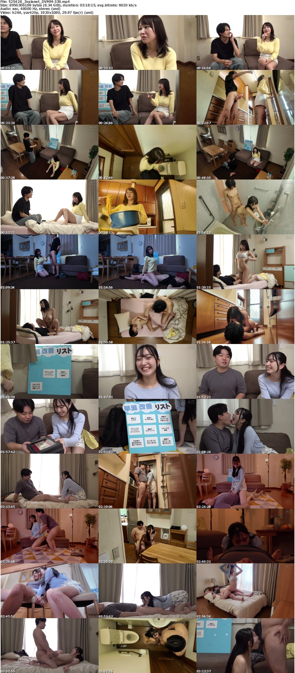 DVMM-339 screens previewer