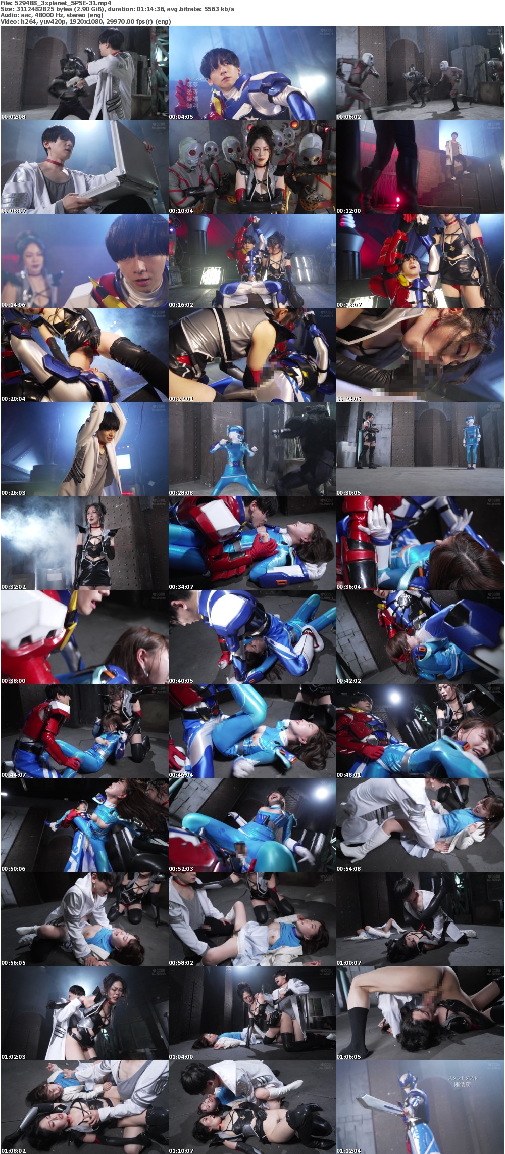 SPSE-31 screens previewer