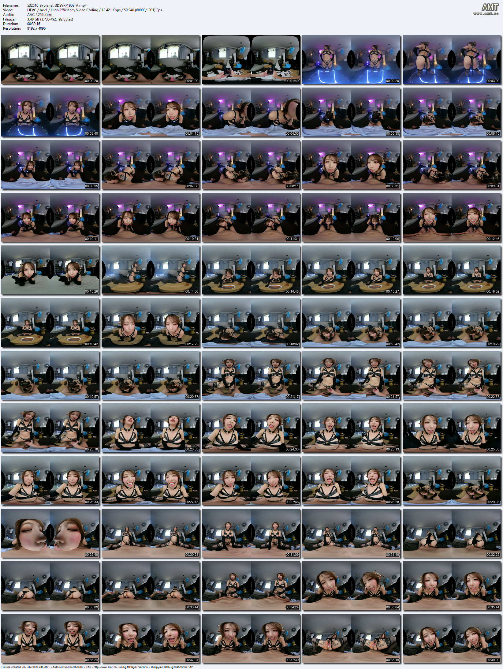 3DSVR-1909 screens previewer