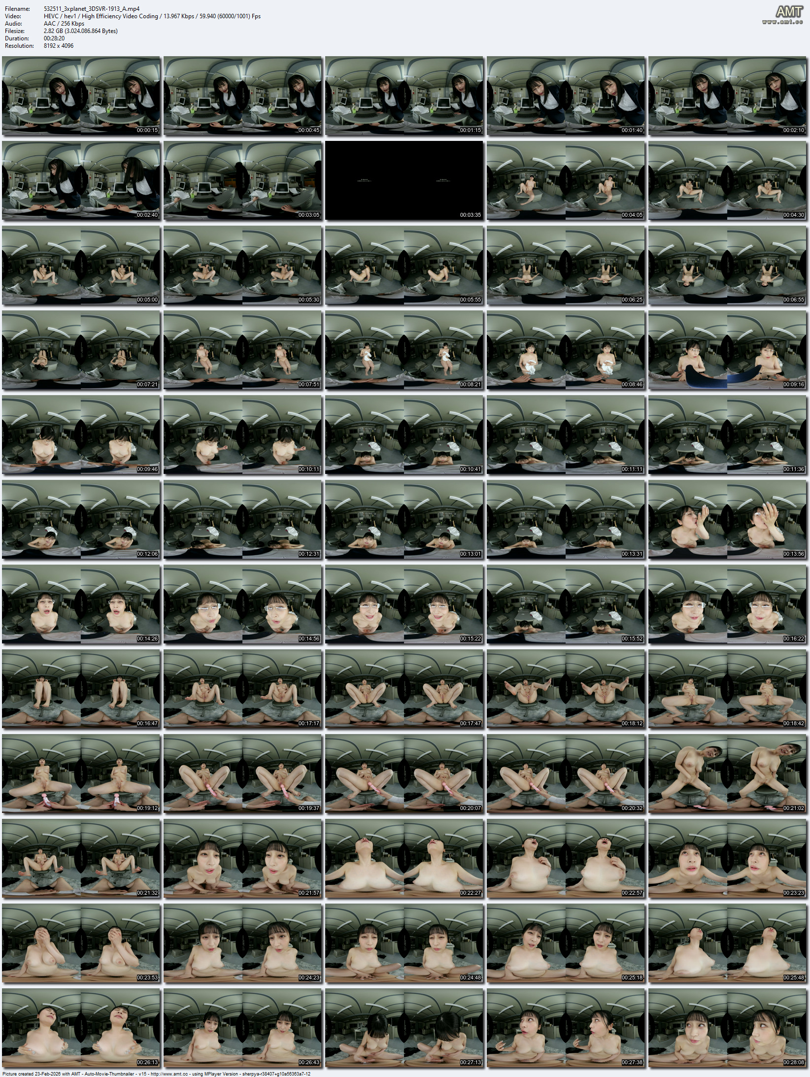 3DSVR-1913 screens previewer