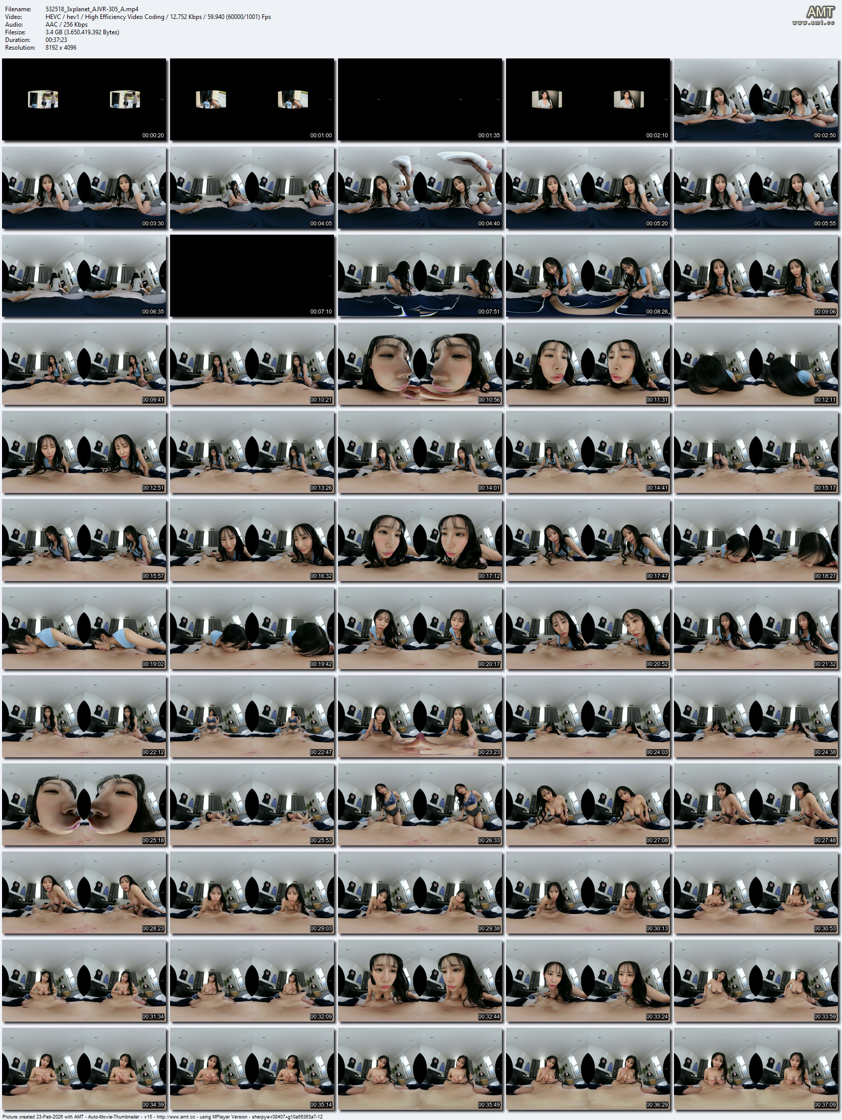 AJVR-305 screens previewer