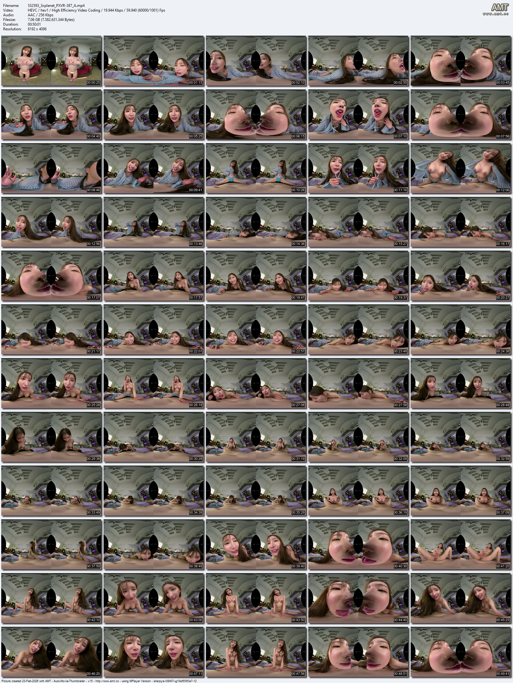 PXVR-387 screens previewer